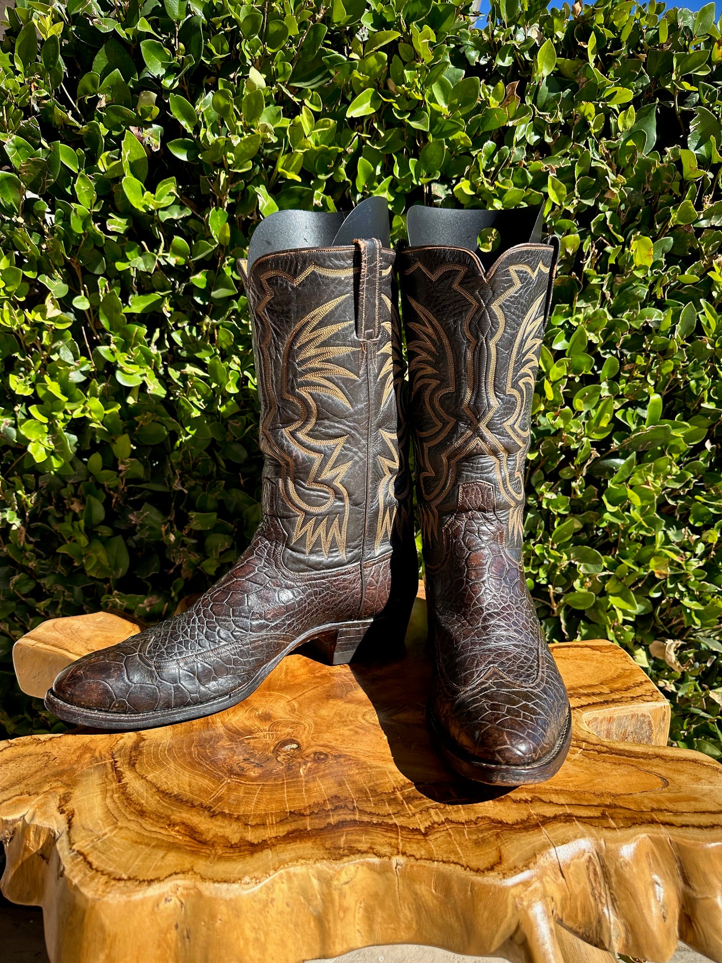 1960's Rios Preban Sea Turtle Cowboy Boots size 10 D