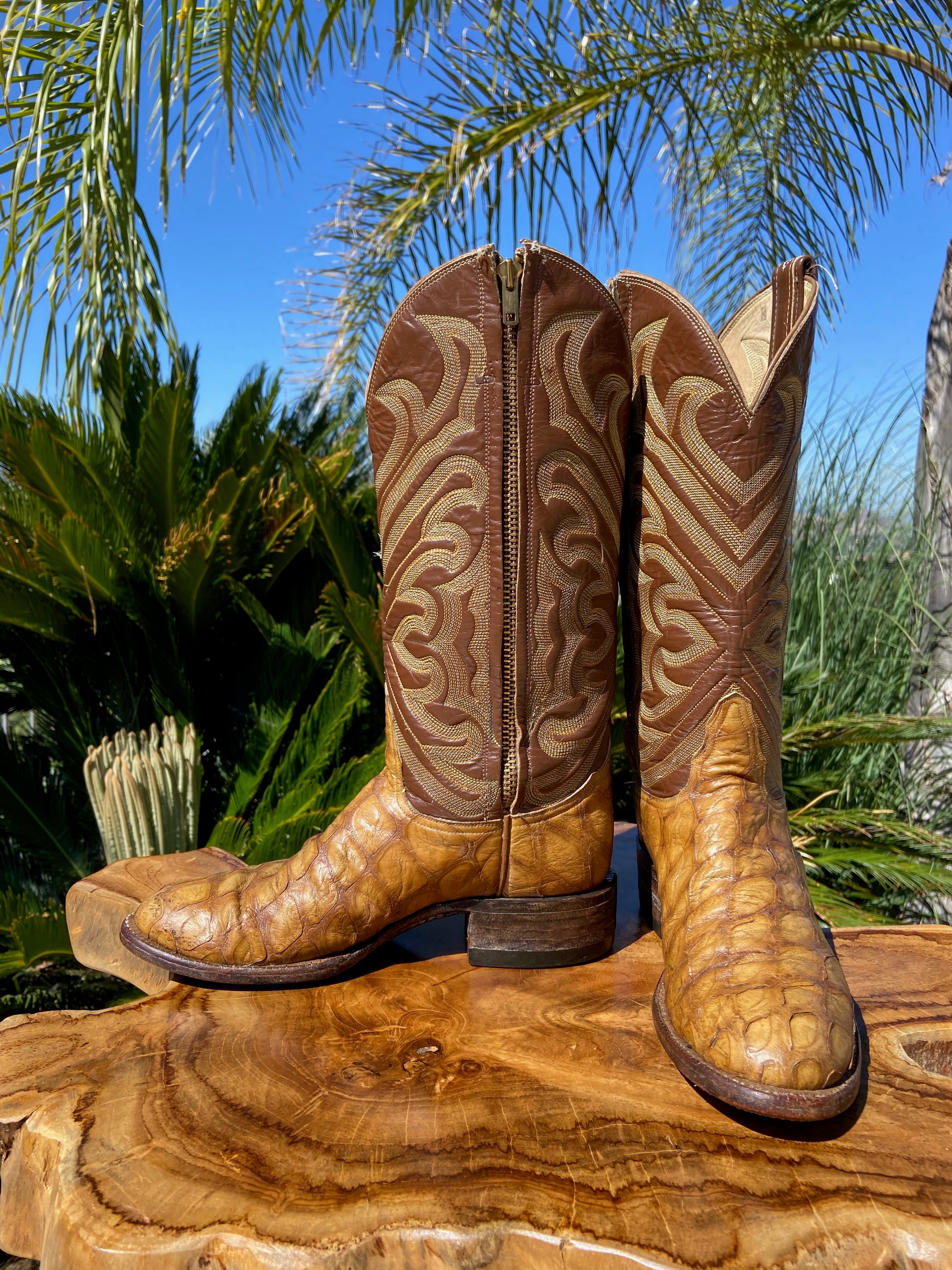 Anteater cowboy boots best sale