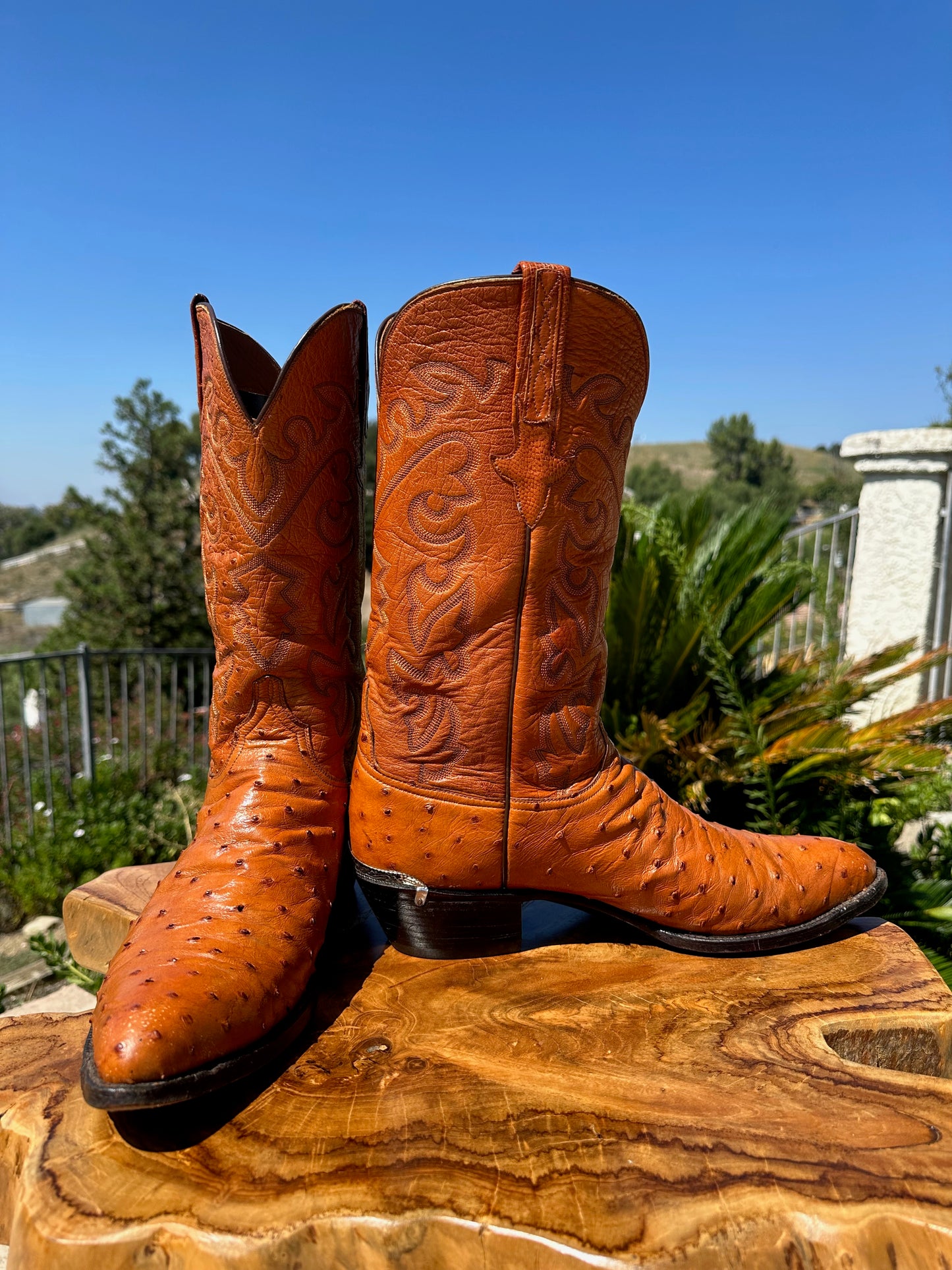 Lucchese Full Quill Ostrich Top and Bottom Cowboy Boots in size 12 D