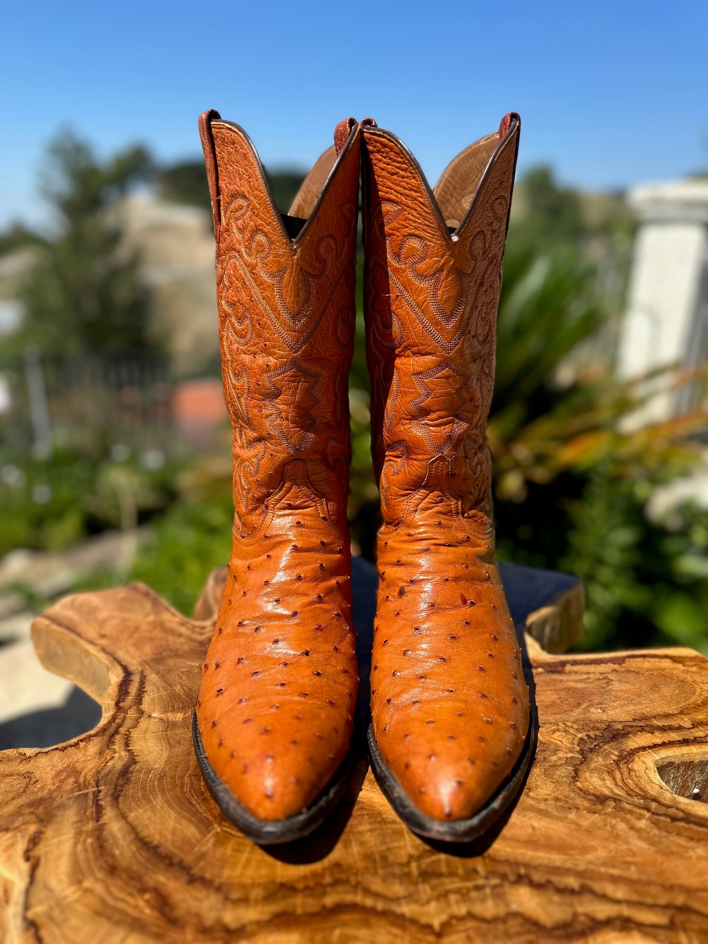 Lucchese Full Quill Ostrich Top and Bottom Cowboy Boots in size 12 D