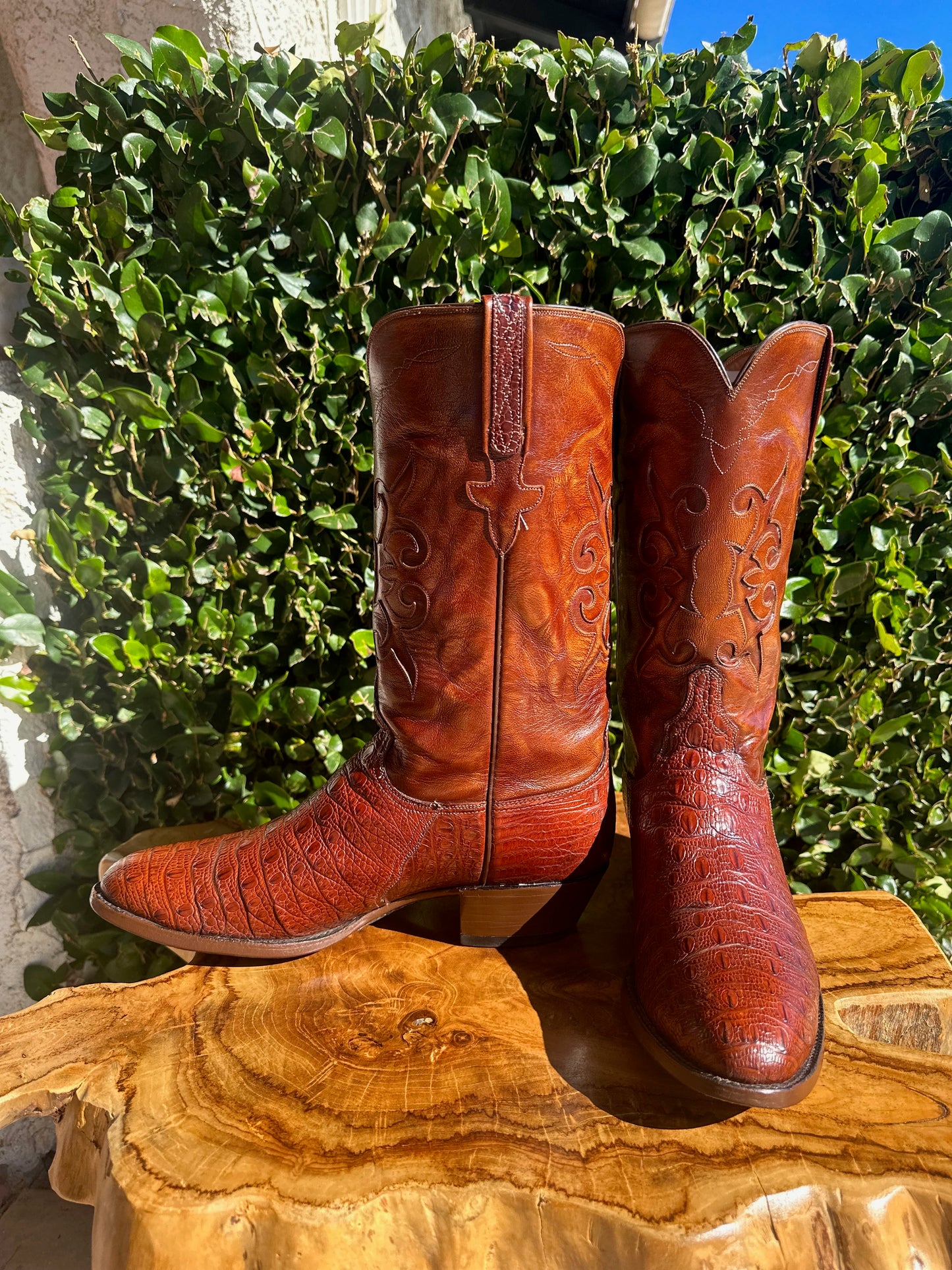 Lucchese Preban Hornback Lizard Cowboy Boots size 9.5 D