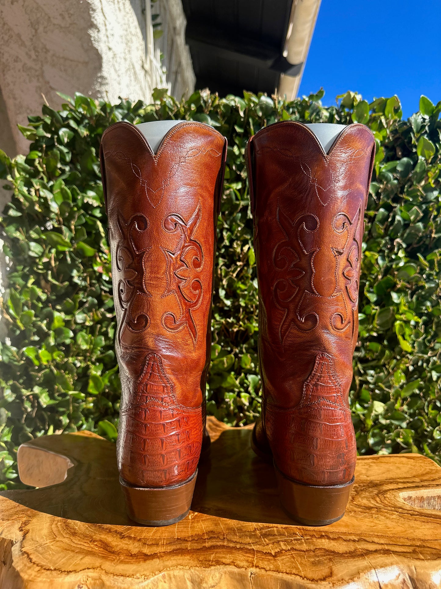 Lucchese Preban Hornback Lizard Cowboy Boots size 9.5 D