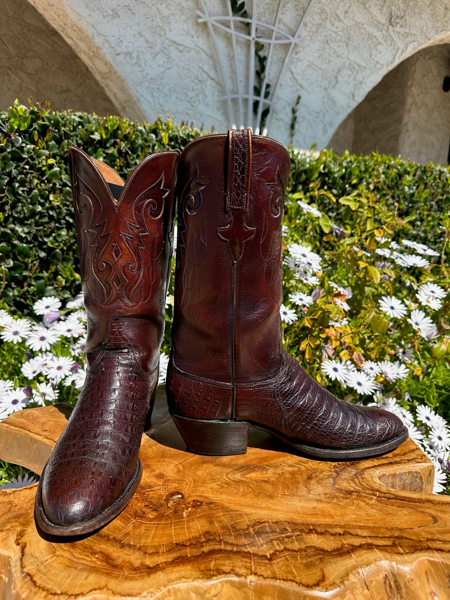 Lucchese Preban Hornback Lizard Cowboy Boots size 9 D