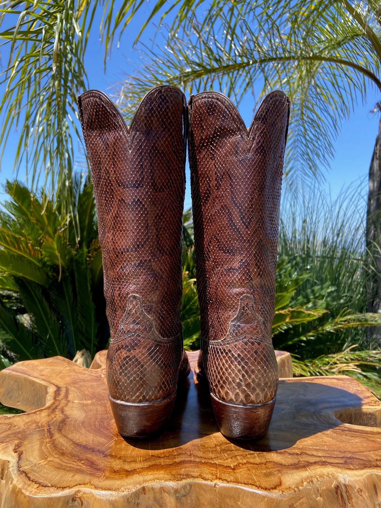 Lucchese San Antonio Burmese Python 9.5 D