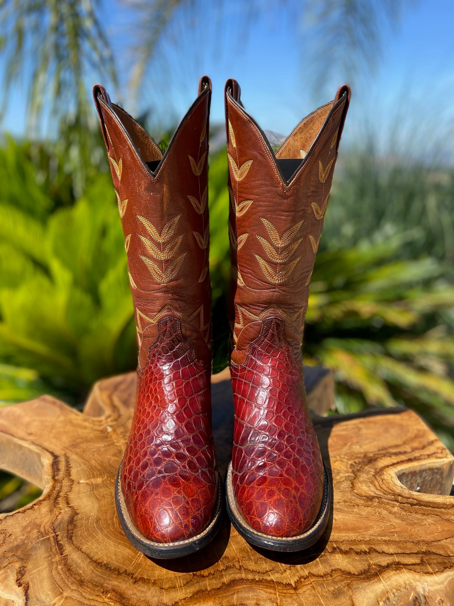 Laramie Handmade American Alligator 8.5 D