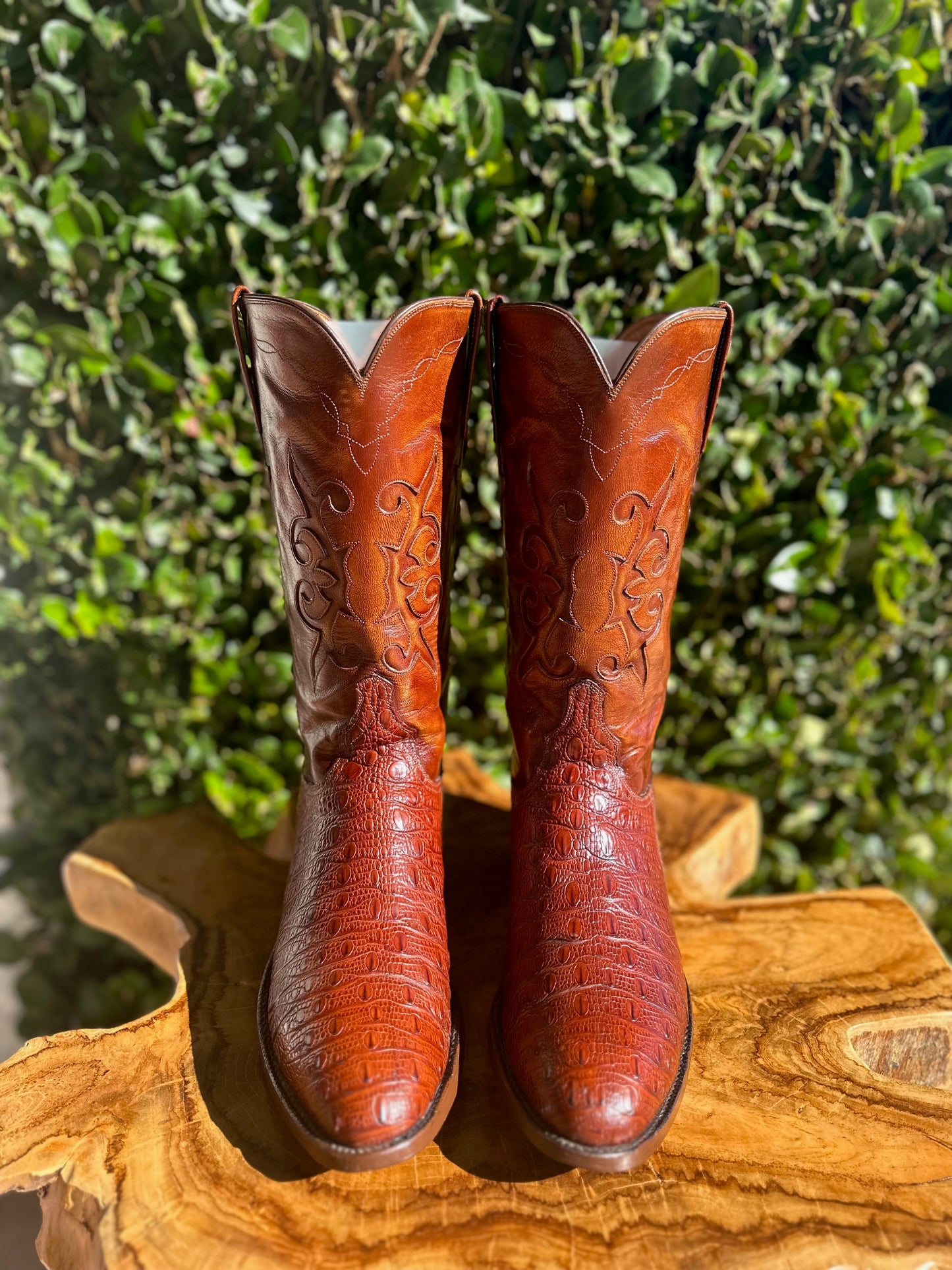 Lucchese Preban Hornback Lizard Cowboy Boots size 9.5 D