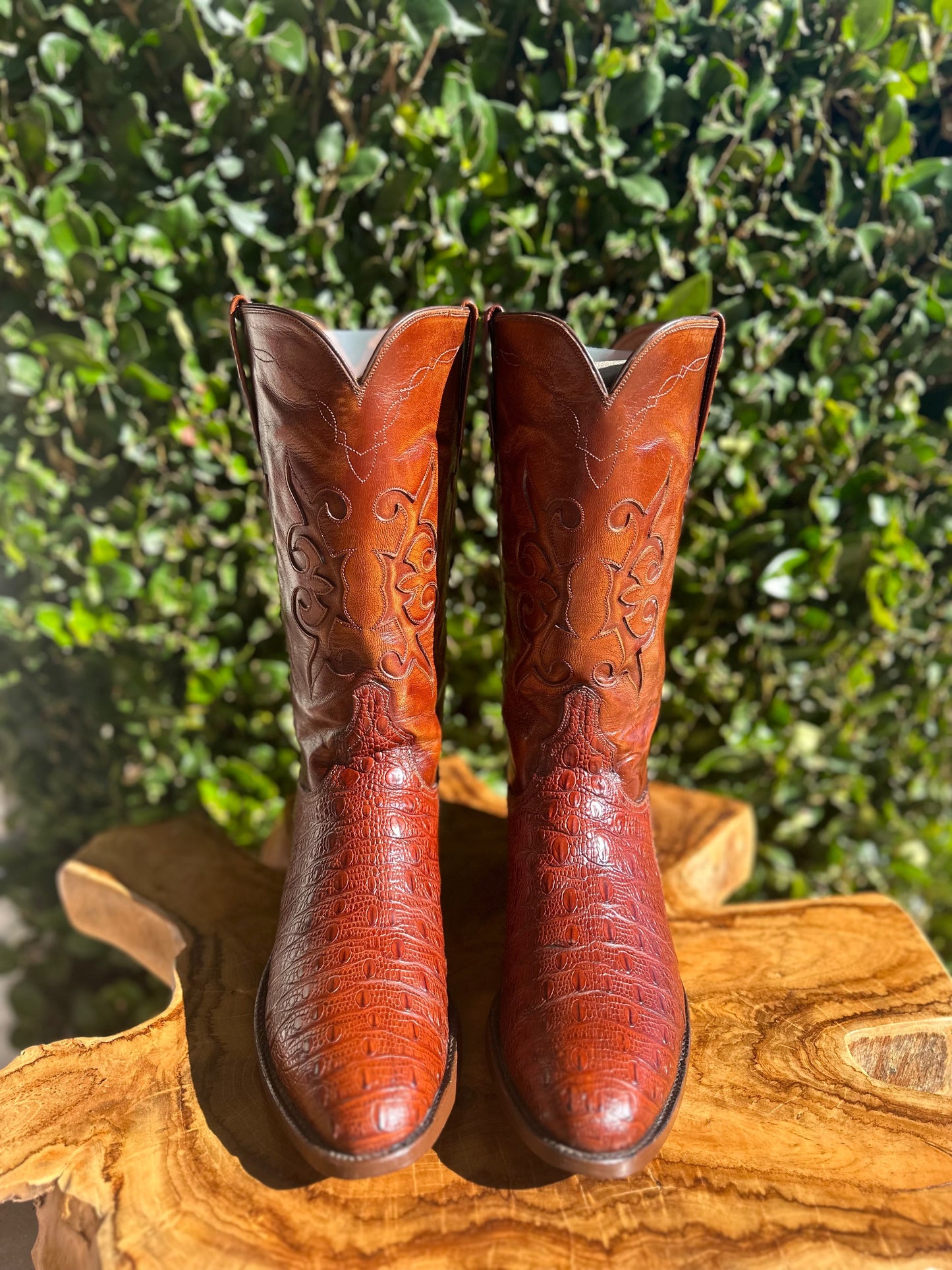 Lucchese Preban Hornback Lizard Cowboy Boots size 9.5 D