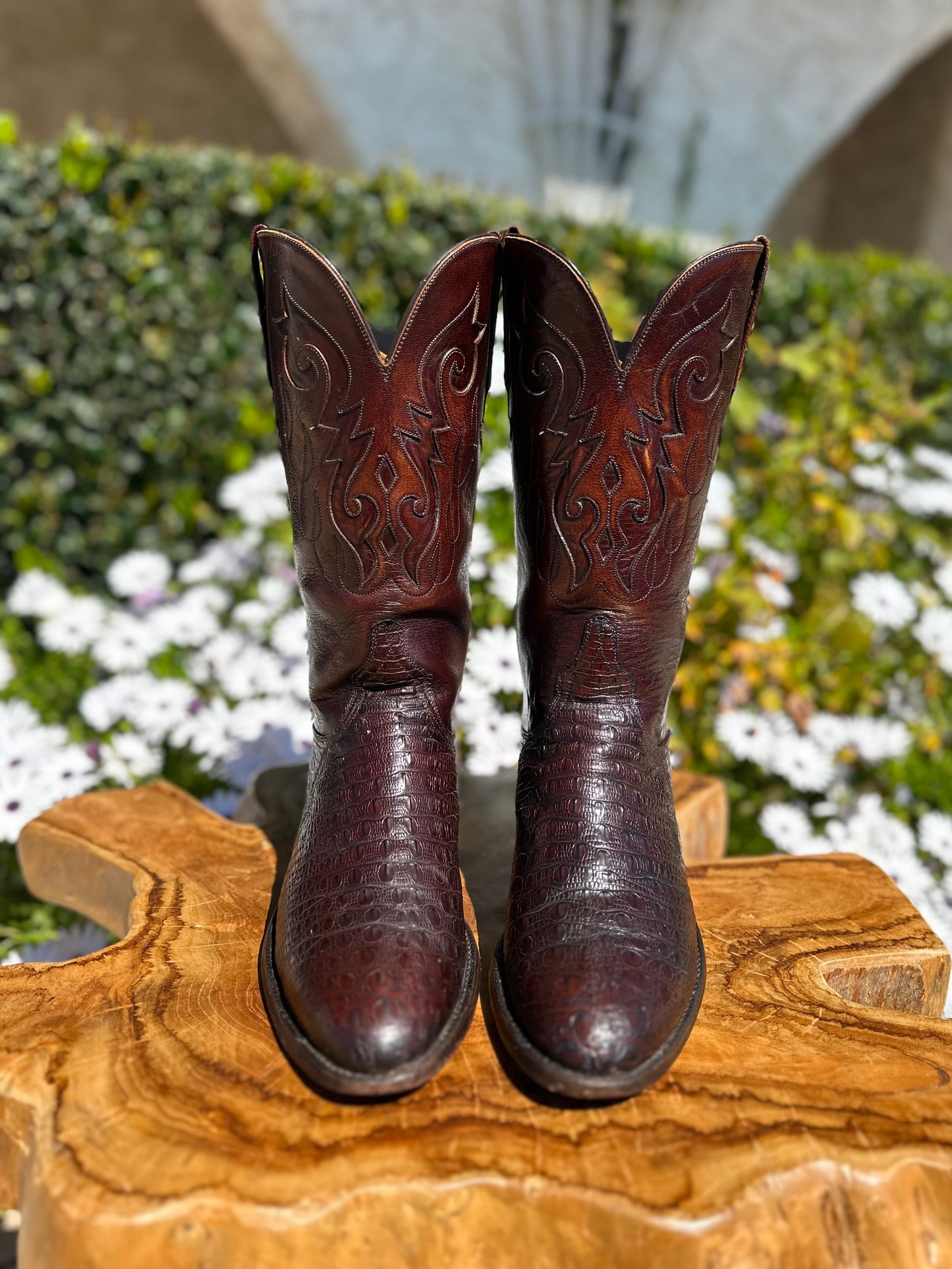 Lucchese Preban Hornback Lizard Cowboy Boots size 9 D