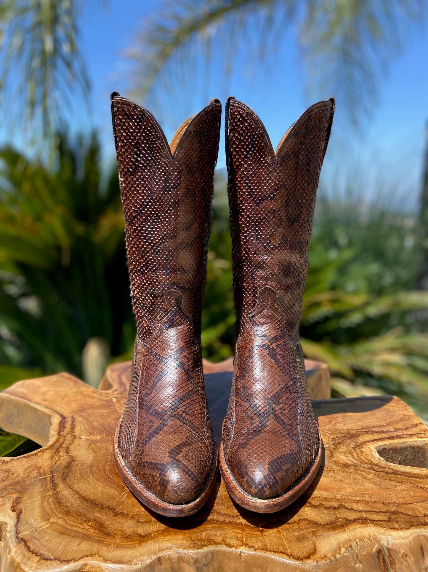 Lucchese San Antonio Burmese Python 9.5 D